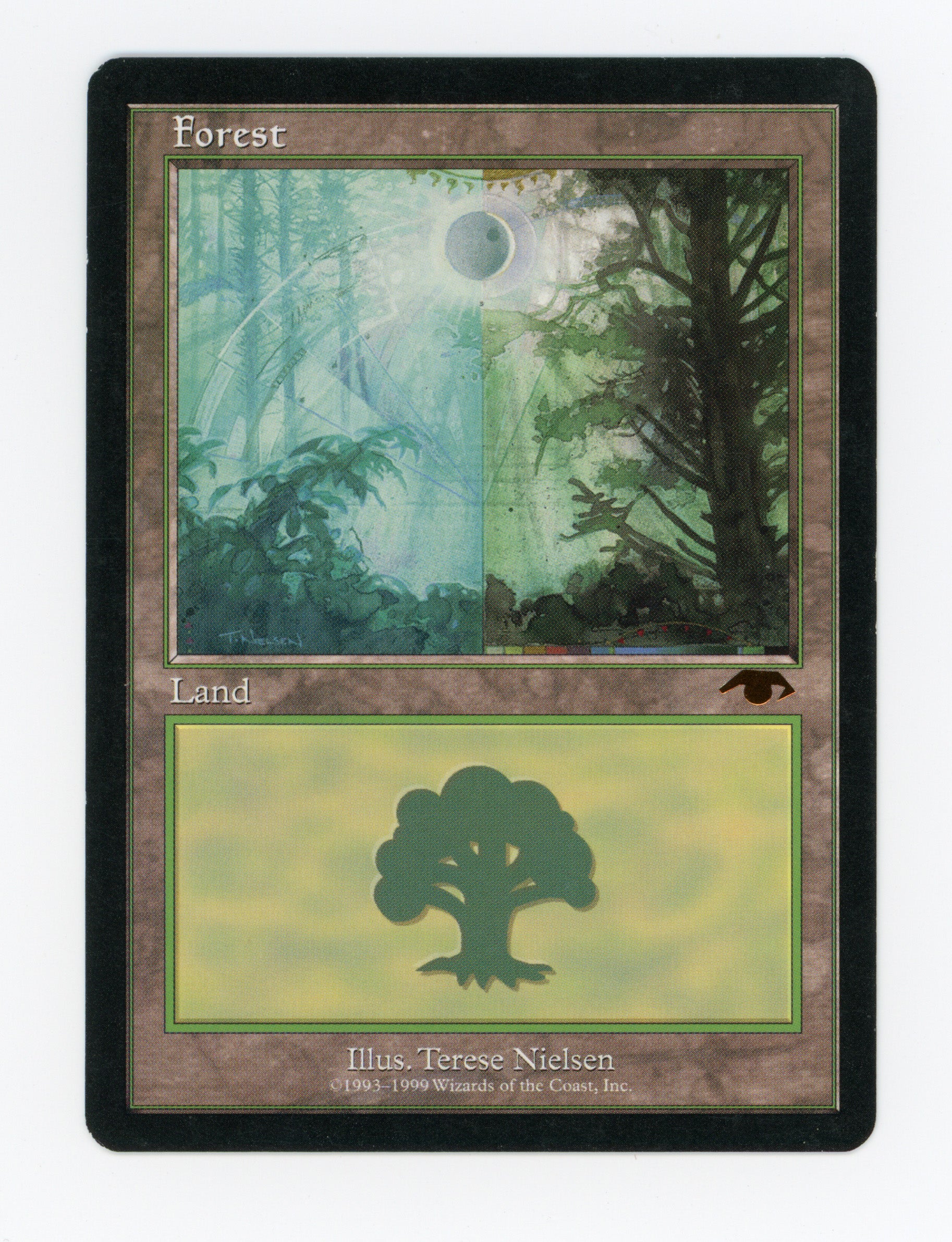 New Arrivals — Magic: The Gathering